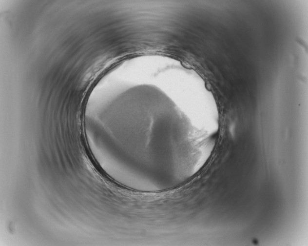 X0000102410002200808291518