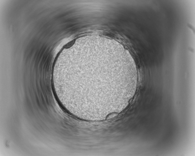 X0000102410003200808291518