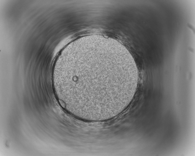 X0000102410004200808291518