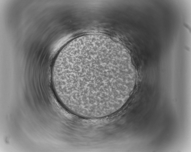 X0000102410005200808291518