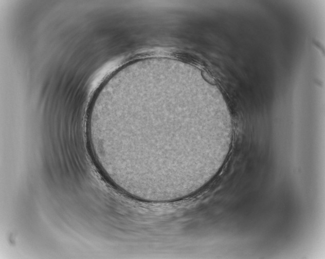 X0000102410006200808291518