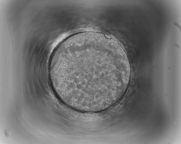 X0000102410008200808291518