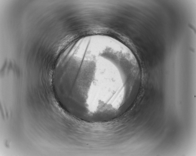 X0000102410010200808291518