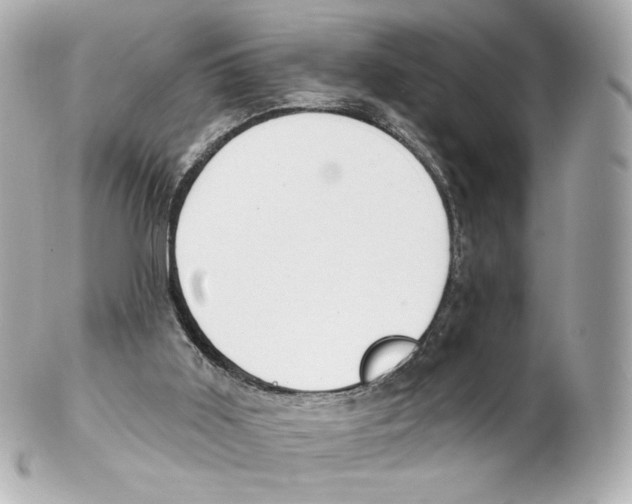 X0000102410011200808291518