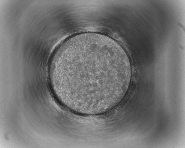 X0000102410012200808291518