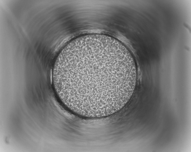 X0000102410013200808291518