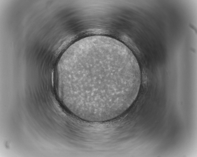 X0000102410014200808291518