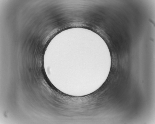 X0000102410015200808291518