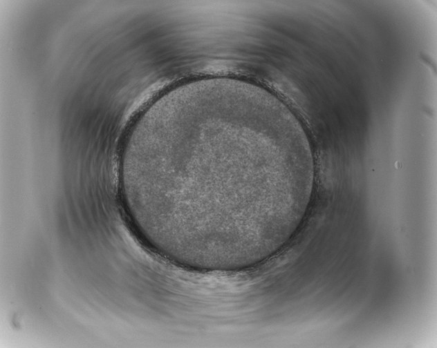 X0000102410016200808291518