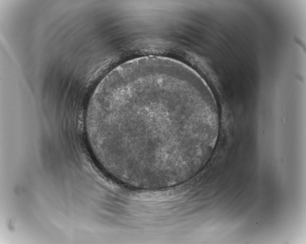 X0000102410017200808291518