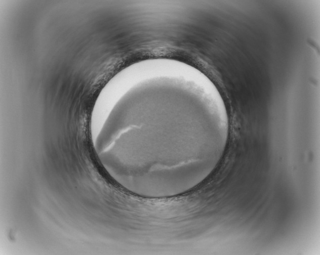 X0000102410018200808291518