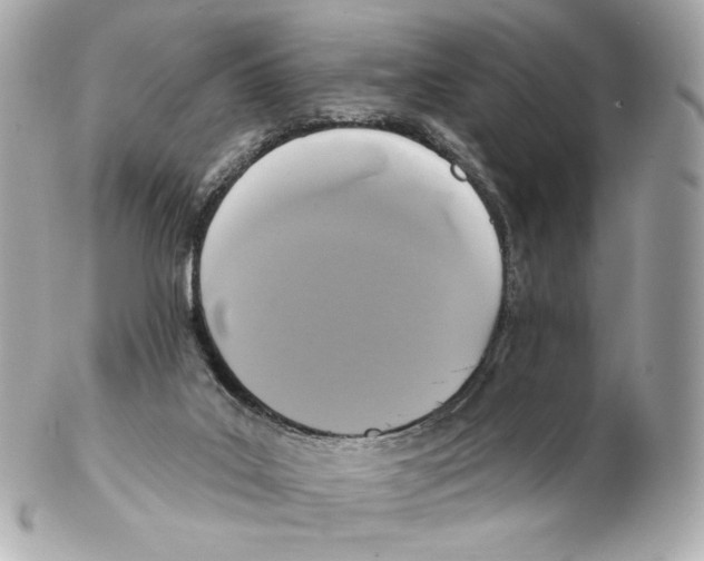 X0000102410019200808291518