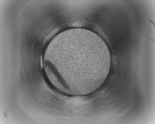 X0000102410020200808291518