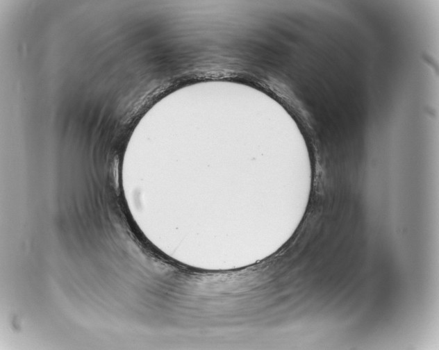 X0000102410021200808291518