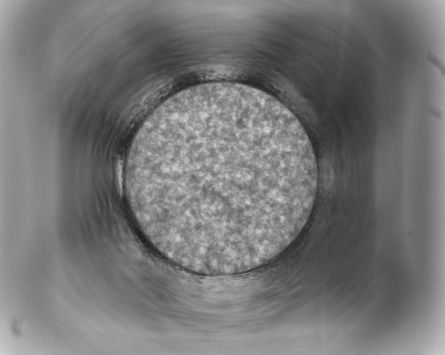 X0000102410022200808291518