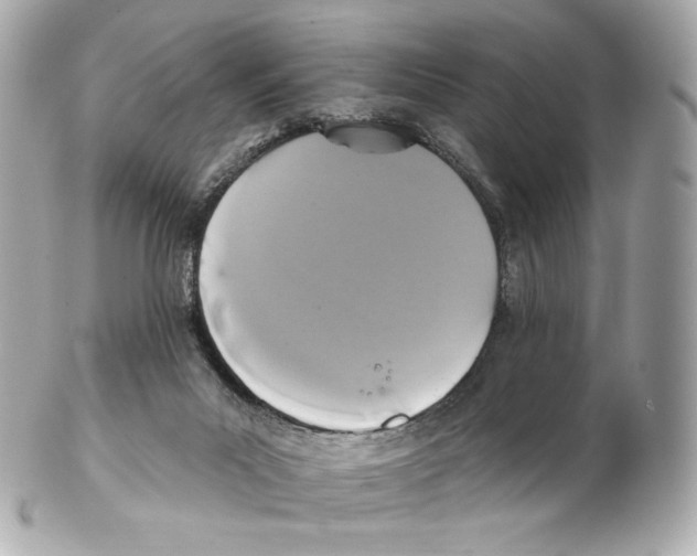 X0000102410023200808291518