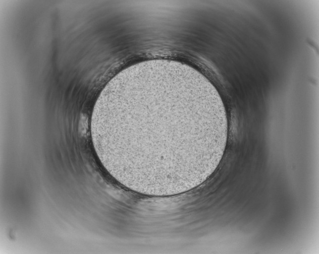 X0000102410025200808291518