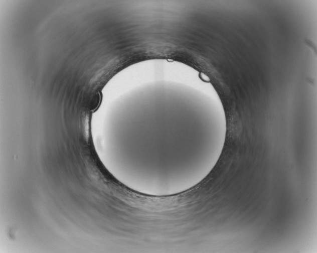 X0000102410027200808291518