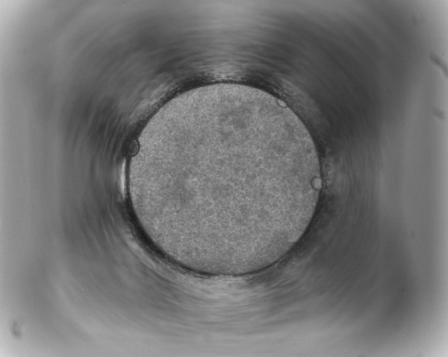 X0000102410028200808291518