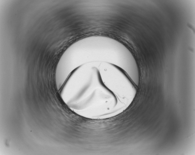 X0000102410029200808291517