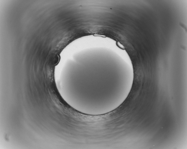 X0000102410031200808291517