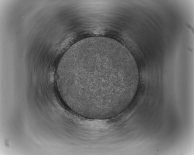 X0000102410032200808291517