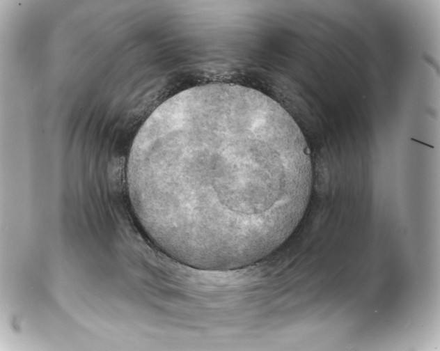 X0000102410034200808291517