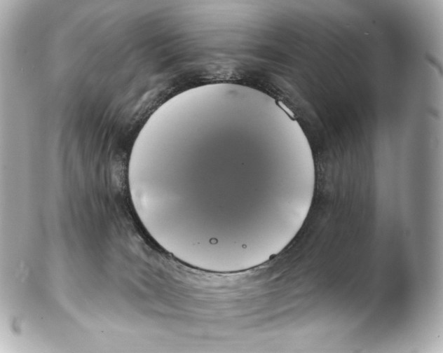 X0000102410035200808291517