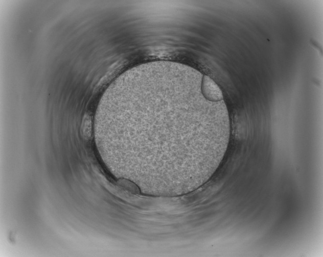 X0000102410036200808291517