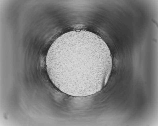 X0000102410037200808291517