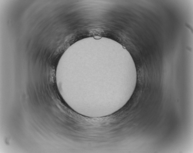 X0000102410038200808291517