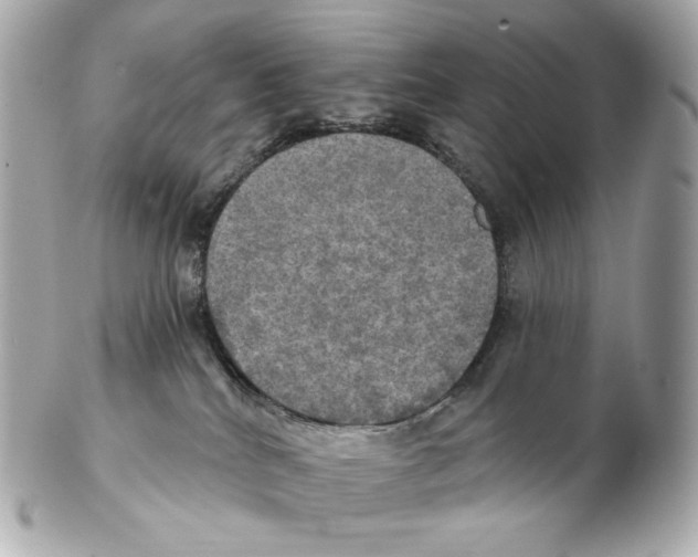 X0000102410040200808291517