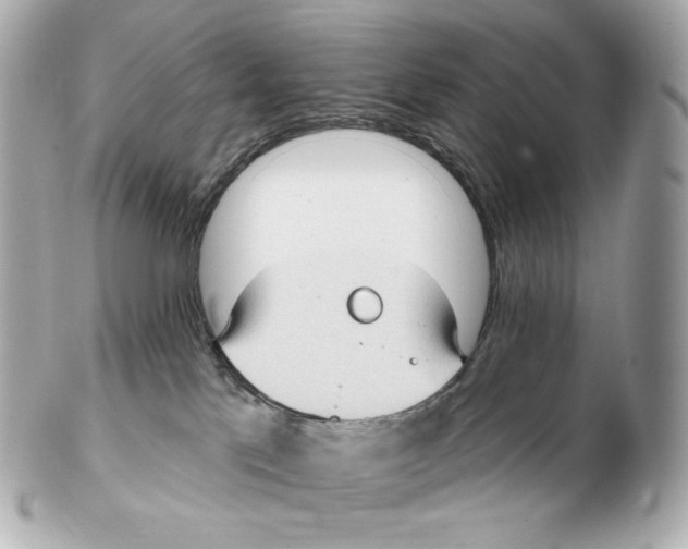 X0000102410041200808291517