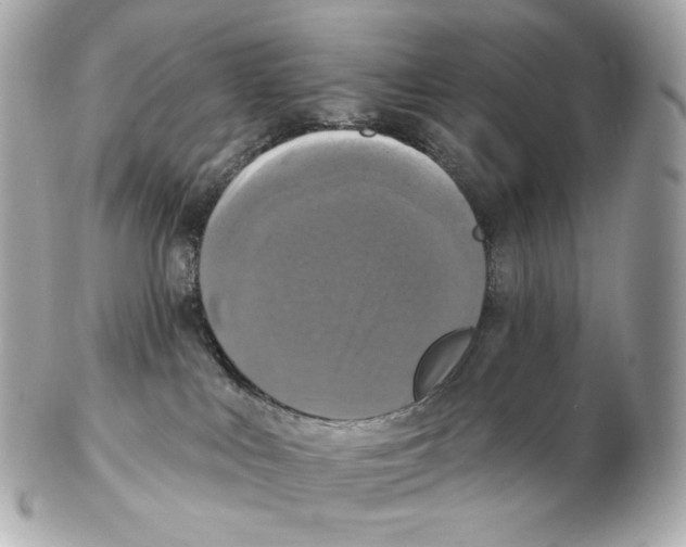 X0000102410043200808291517