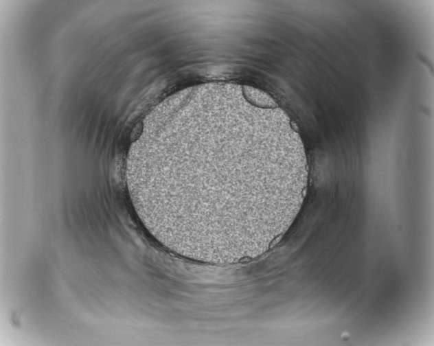 X0000102410044200808291517