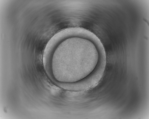 X0000102410045200808291517