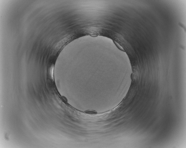 X0000102410047200808291517