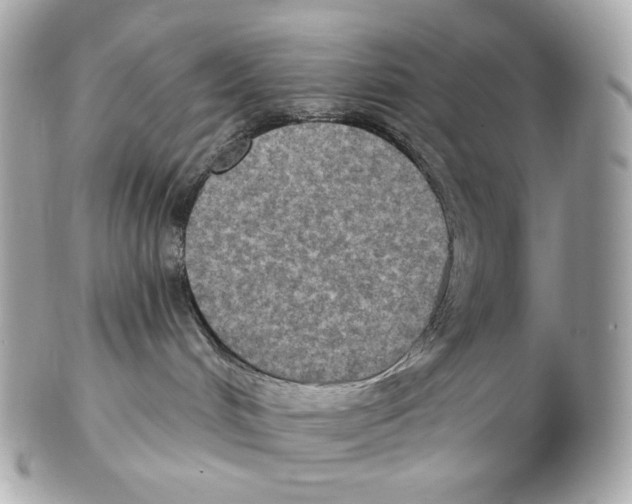 X0000102410048200808291517