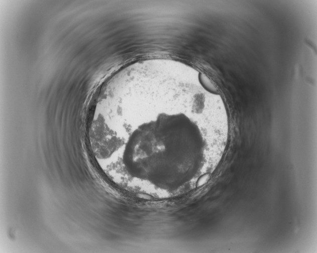 X0000102410049200808291517