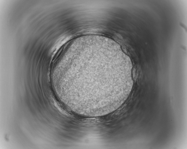 X0000102410050200808291517