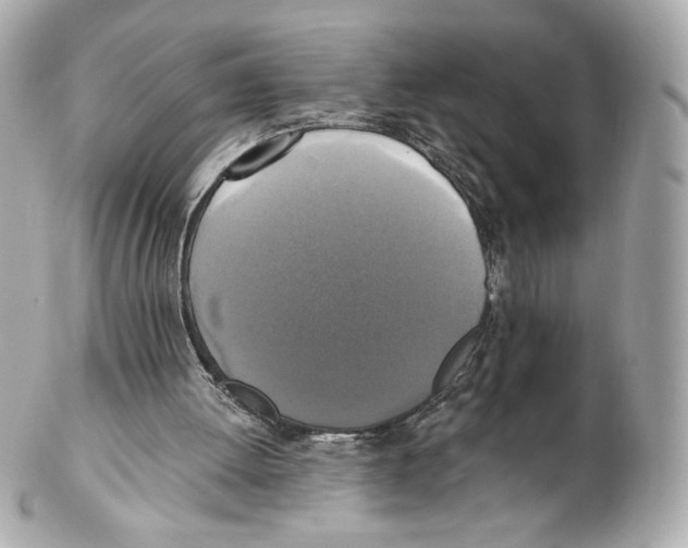 X0000102410052200808291517