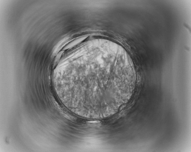 X0000102410053200808291517