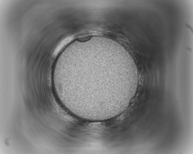 X0000102410054200808291517