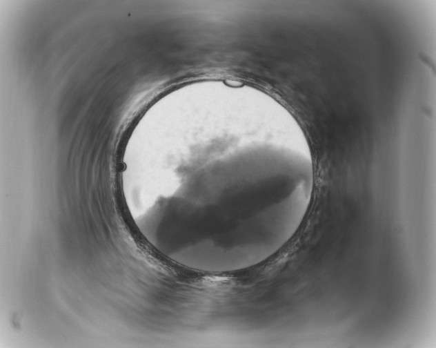 X0000102410055200808291517