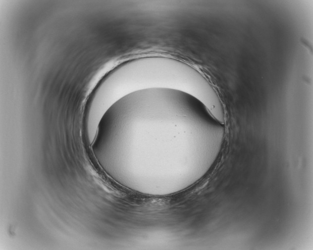 X0000102410056200808291517