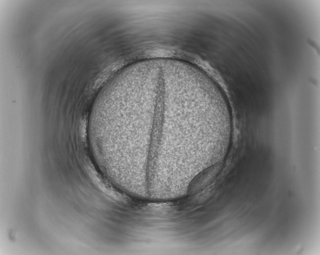 X0000102410057200808291517