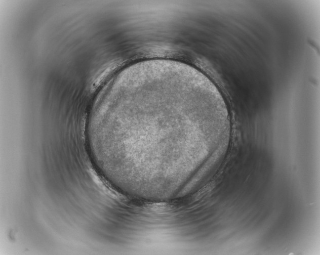 X0000102410058200808291517