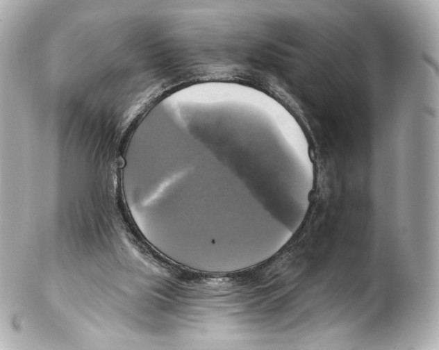 X0000102410059200808291517