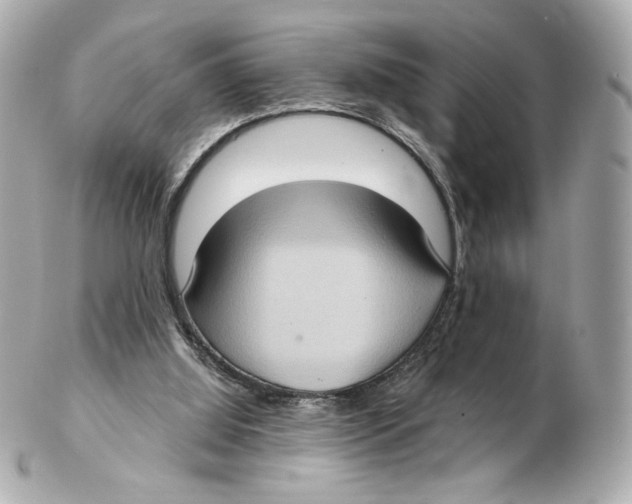 X0000102410060200808291517