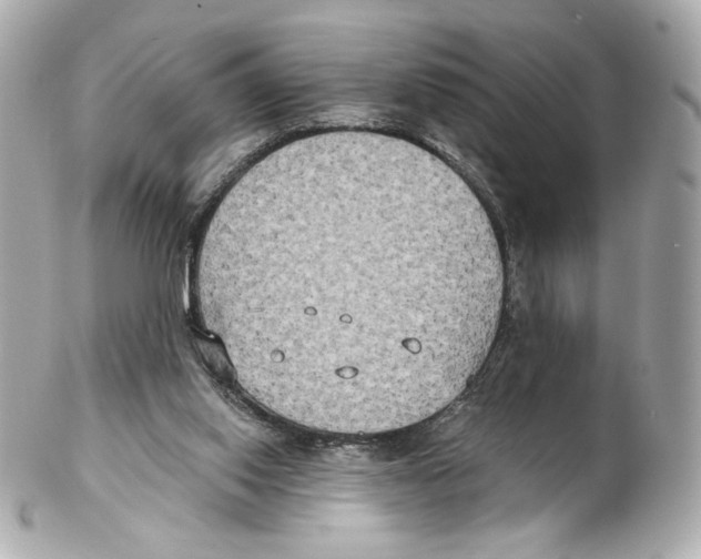 X0000102410062200808291517